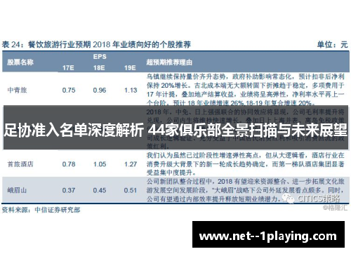 足协准入名单深度解析 44家俱乐部全景扫描与未来展望